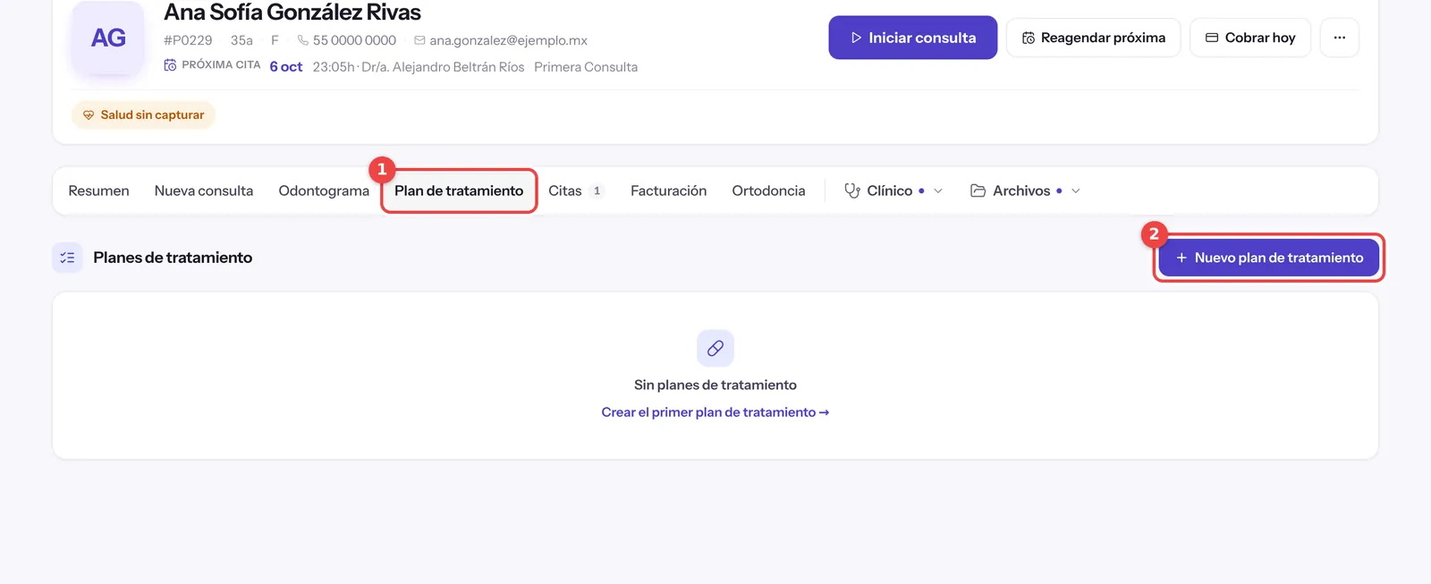 Pestaña Plan de tratamiento de la ficha con el botón Nuevo plan de tratamiento marcado